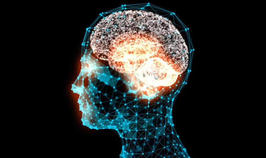 Special Needs Education